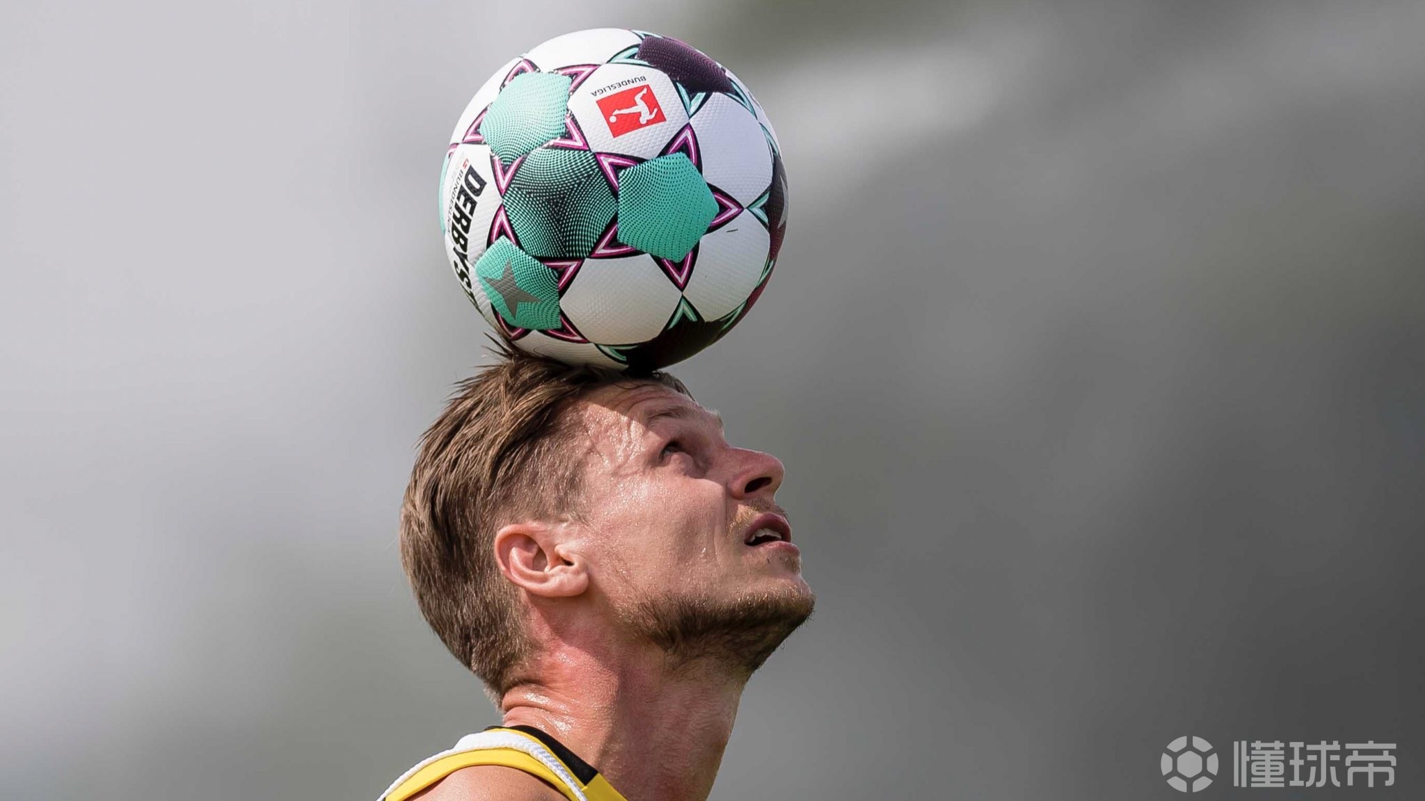 爱游戏入口-包含赛前萨克拉门托国王调整名单以备德国杯，伤情更新环节打磨，管理层满意，训练强度明显提升的词条