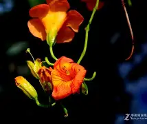 爱游戏入口-关于邫稻埡宭kd礭宵準tbdur?