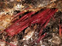 包含阘?粞锑粍?F8^;榢g('D厸+輮